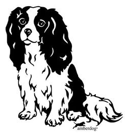 Produktbild von Cavalier King Charles Spaniel Grafiklizenz