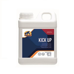 Produktbild von Cavalor Kick Up - 1000 ml