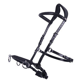 Produktbild von Cavecake aus Leder QHP