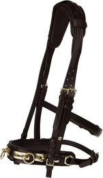 Produktbild von Caveçon aus Leder Horze