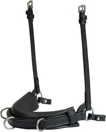 Produktbild von Caveçon für Pferde Catago Gentle