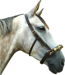 Produktbild von Caveçon für Pferde Chetak