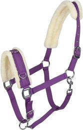 Caveçon für Pferde Horze – Bild 1 von 3