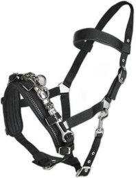 Produktbild von Caveçon für Pferde Horze