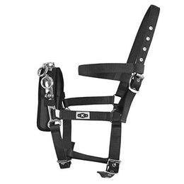 Caveçon für Pferde Kincade Lunge – Bild 1 von 3