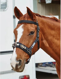 Produktbild von Caveçon für Pferde Kincade Lunge