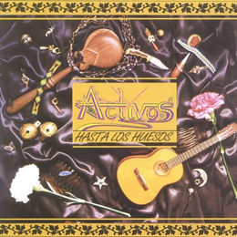 CD Bis auf die Knochen von Die Aktiva – Bild 1 von 2