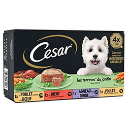 Produktbild von CESAR Barquettes en terrine - 4 Sorten für ausgewachsene Hunde - 4 x 150 g