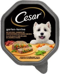 Produktbild von Cesar Garten-Terrine 14x150g Geflügel, Gemüse und Reis
