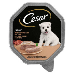 Produktbild von Cesar Junior mit zartem Truthahn und Kalb - 28 x 150 g