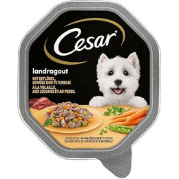 Produktbild von Cesar Landragout Nassfutter für ausgewachsene Hunde mit Geflügel und Gemüse - 6 x 150 g