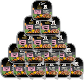 Produktbild von CESAR Schale Nassfutter mit Lachs in Sauce - 16 x 100 g