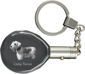 Produktbild von Cesky Terrier, Tschechischer Terrier, BÃ¶hmischer Terrier - AnhÃ¤nger mit einem Foto eines Hundes, Kristall-SchlÃ¼sselring in einer Geschenkbox, ein einzigartiges Geschenk von Art-Dog transparent
