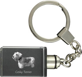 Produktbild von Cesky Terrier, Tschechischer Terrier, Böhmischer Terrier - Kristall-Schlüsselanhänger mit Hundefoto, beleuchteter Schlüsselanhänger, einzigartiges Geschenk der Marke Art-Dog transparent