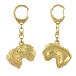 Cesky Terrier Vergoldeter Schlüsselanhänger mit Hund in Geschenkbox – Bild 1 von 7