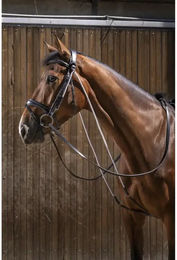 Produktbild von Chambon Eric Thomas Pro