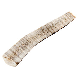 Produktbild von Chewies Rothirsch-Geweihstange halb Größe S - 150 g