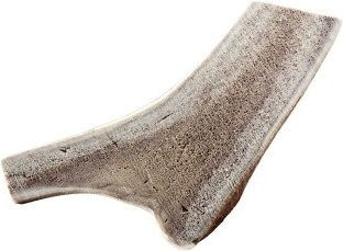 Chewies Rothirsch-Geweihstange halbiert – Bild 1 von 3