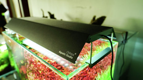 Produktbild von Chihiros Blenden für WRGB2 Aquarienbeleuchtung 60 cm