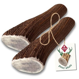 Produktbild von ChronoBalance® XL Kaustange aus 100% Hirschgeweih für Hunde - 2 x 1 Stk.