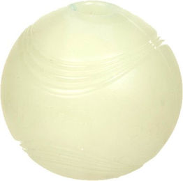 Chuckit! Ball Max Glow - M – Bild 1 von 5