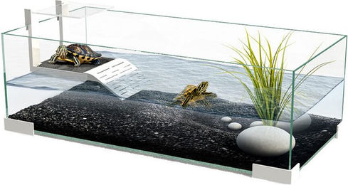 Ciano Tartarium – Bild 1 von 5