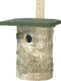Produktbild von CJ Wildlife Nisthöhle Birkenholz grün