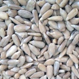 Produktbild von Classic Bird Sonnenblumenkerne geschält - 4 x 2,5 kg