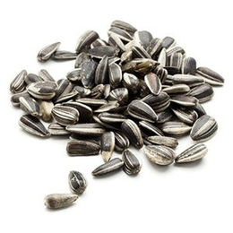 Produktbild von Classic Bird Sonnenblumenkerne gestreift - 4 x 2,5 kg