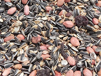 Produktbild von Classic Bird Wildvogelfutter ohne Hirse - 2,5 kg
