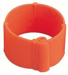 Produktbild von Clip-Ring Chick'A (x100)