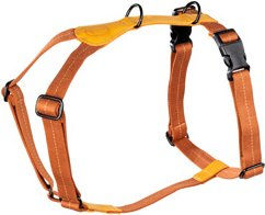 Produktbild von Cloud7® Hundegeschirr Madeira ginger Gr. XL