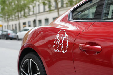 Produktbild von Cocker Spaniel Kopf Auto Aufkleber - Wandtattoo