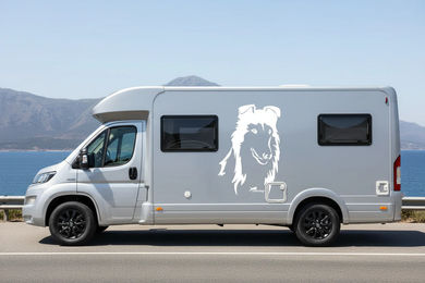 Produktbild von Collie Auto Kopf Aufkleber I Wandtattoo