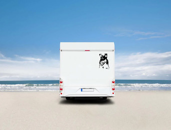 Produktbild von Collie Kurzhaar Kopf Auto Wohnmobil Aufkleber
