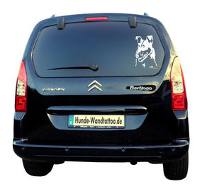 Produktbild von Collie Kurzhaar Kopf Auto Wohnmobil Aufkleber  I Wandtattoo