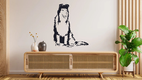 Produktbild von Collie langhaar Wandtattoo Wandbild Wandsticker Wandaufkleber Wanddekoration