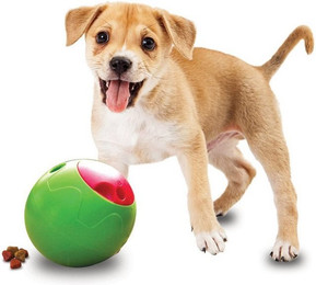 Produktbild von Company of Animals Futterball Foobler Klein