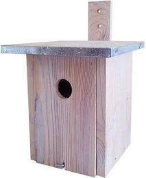 Produktbild von Conni Oberkircher Nistkasten natur mit Metalldach