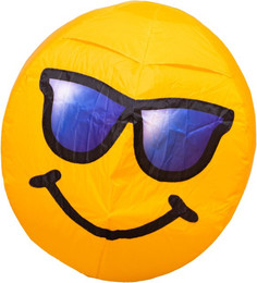 Produktbild von coole Wetterfahne HQ Kites Buddy