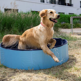 CoolPets Hundepool Medium – Bild 1 von 4