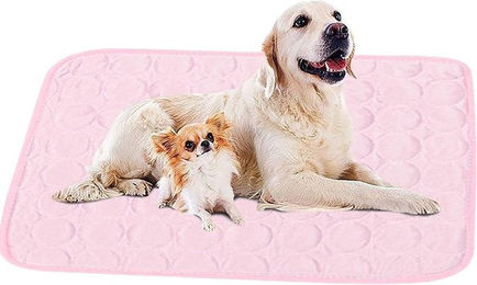 Produktbild von Coonoor Hundematte Kühlmatte für Katze und