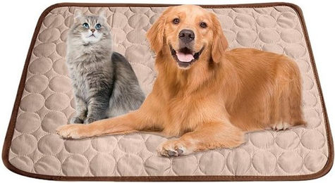 Produktbild von Coonoor Hundematte Kühlmatte für Katze und kleine Hunde