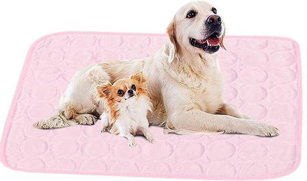 Produktbild von Coonoor Hundematte Kühlmatte für Katze und kleine Hunde