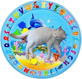 Produktbild von Coonoor Hundematte Sensorische Wasser Spielmatte,Katzen-Wasser-Spielmatte
