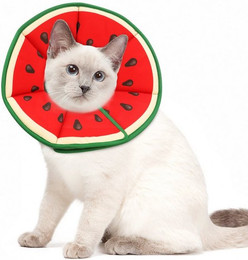 Produktbild von Coonoor Schutzkragen Halskrause für Katze und kleine Hunde