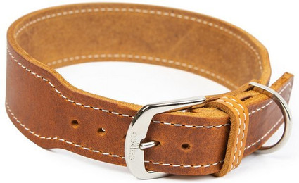 Produktbild von CopcoPet Hunde-Halsband Zoe