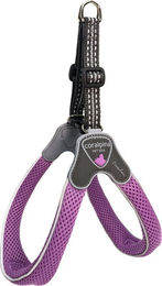 Coralpina Cinquetorri Geschirr Lila Größe 6 – Bild 1 von 2