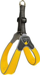 Produktbild von Coralpina Geschirr Cinquetorri Gelb - 5