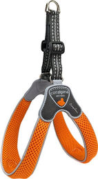 Produktbild von Coralpina Geschirr Cinquetorri Helles Orange - 4